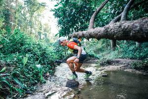 BIB: 
                            <button type="button" onclick="openModal(25368432)" class="btn btn-primary btn-sm float-right btn-popup" data-toggle="modal" data-target=".modal-high-quality">
                        <i class="fas fa-shopping-cart"></i> Add to Cart
                    </button>
                                            <button type="button" onclick="isThisMe(25368432, true)" class="btn btn-success btn-sm float-right btn-popup btn-isme hidden" data-toggle="tooltip" data-placement="bottom" title="นี่คือรูปของคุณใช่ไหม คลิกที่นี่เพื่อเอาเข้าอัลบั้ม">
                        <i class="fas fa-plus"></i> Add to album
                    </button>
                    <button type="button" onclick="isThisMe(25368432, false)" class="btn btn-warning btn-sm float-right btn-popup btn-isnotme hidden">
                        <i class="fas fa-ban"></i> Remove from album
                    </button>